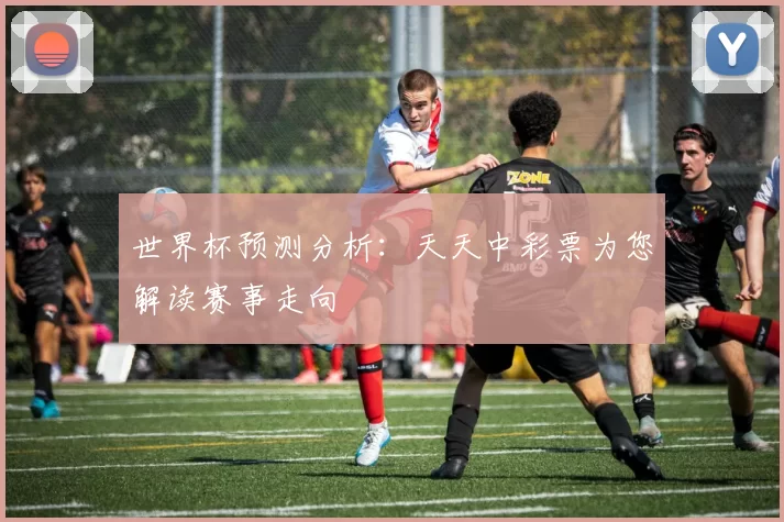 世界杯预测分析:天天中彩票为您解读赛事走向