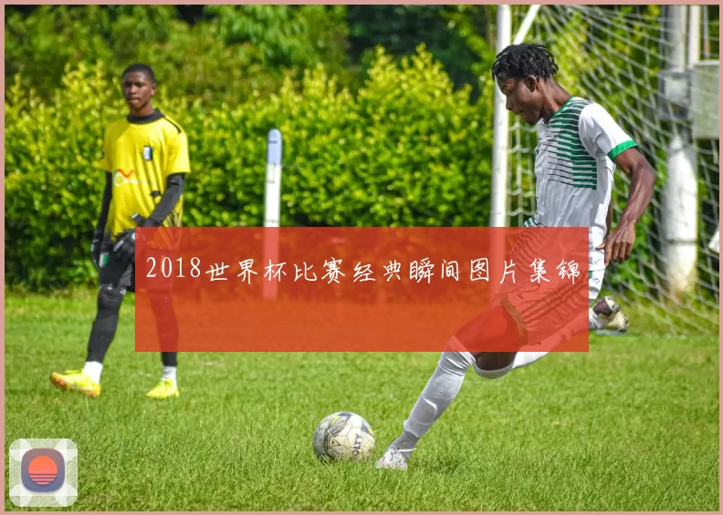 2018世界杯比赛经典瞬间图片集锦