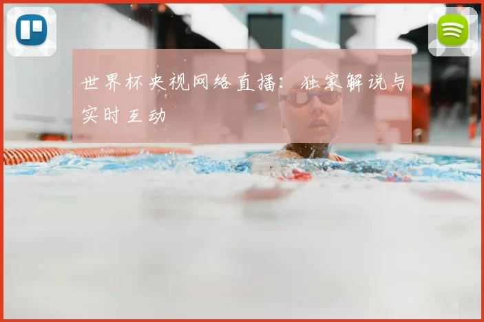 世界杯央视网络直播:独家解说与实时互动