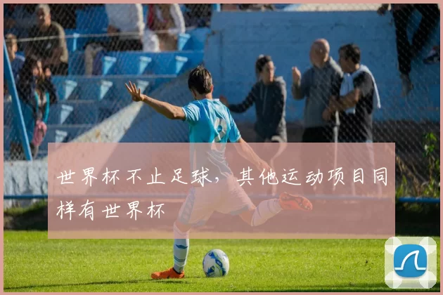 世界杯不止足球,其他运动项目同样有世界杯