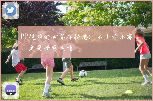 PP视频的世界杯转播:不止于比赛,更是情感共鸣