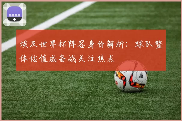 埃及世界杯阵容身价解析:球队整体估值成备战关注焦点
