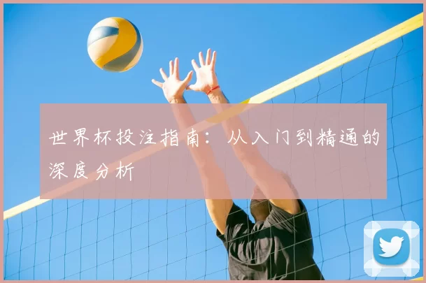 世界杯投注指南：从入门到精通的深度分析