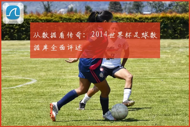 从数据看传奇：2014世界杯足球数据库全面评述