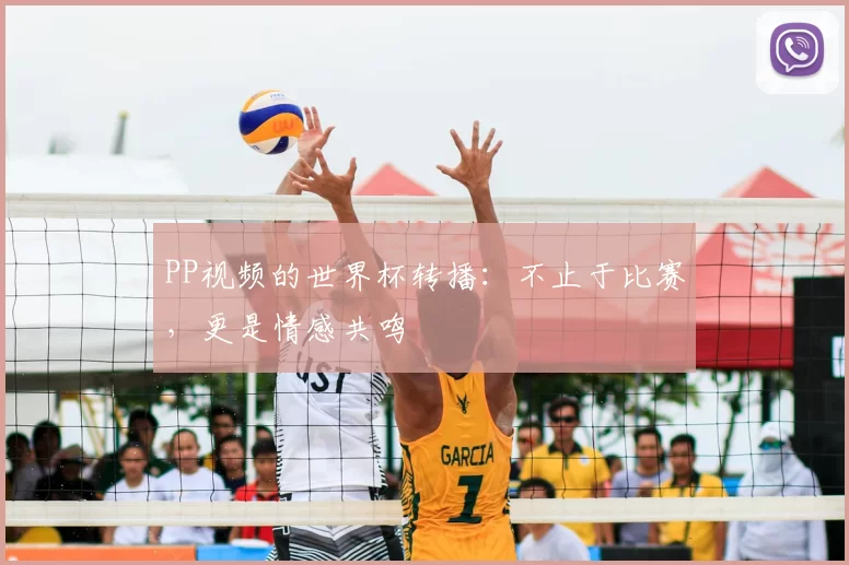 PP视频的世界杯转播:不止于比赛,更是情感共鸣