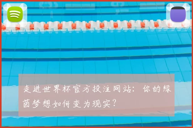 走进世界杯官方投注网站:你的绿茵梦想如何变为现实?