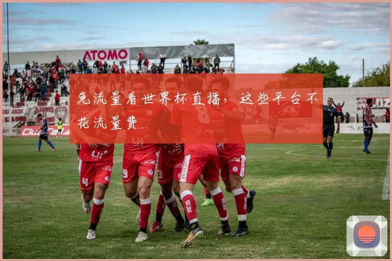 免流量看世界杯直播,这些平台不花流量费